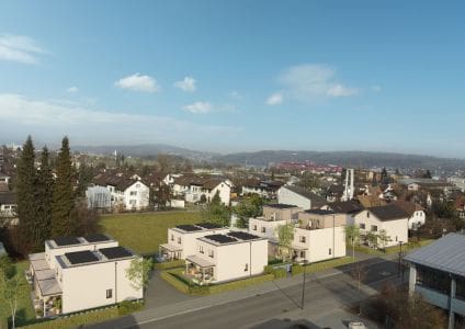 EFH DEFH Architekturvisualisierung Vogelperspektive